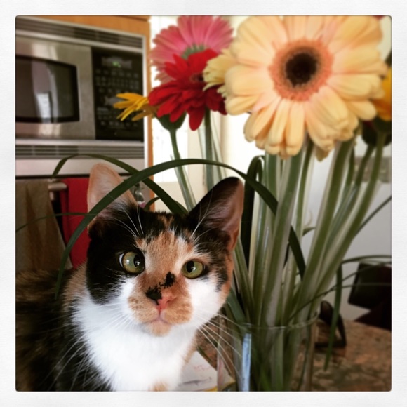 All About Me! - Picture 2 of 4